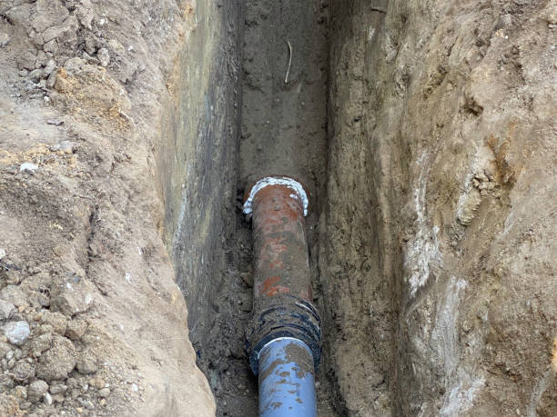 Best Flood damage cleanup  in New Madison, OH