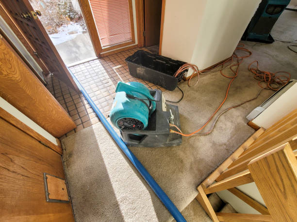 Best Water damage restoration near me  in New Madison, OH