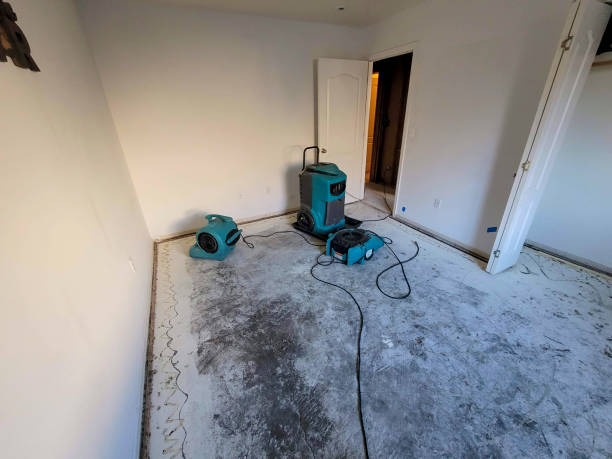 Best Flooded house restoration  in New Madison, OH