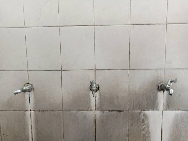 Best Mold removal after water damage  in New Madison, OH