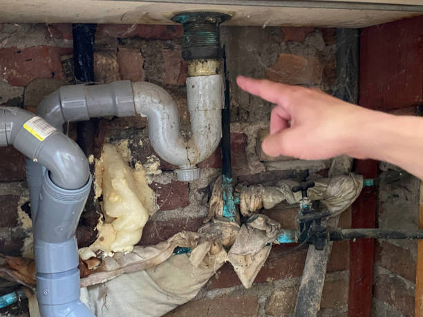 Best Water damage restoration near me  in New Madison, OH