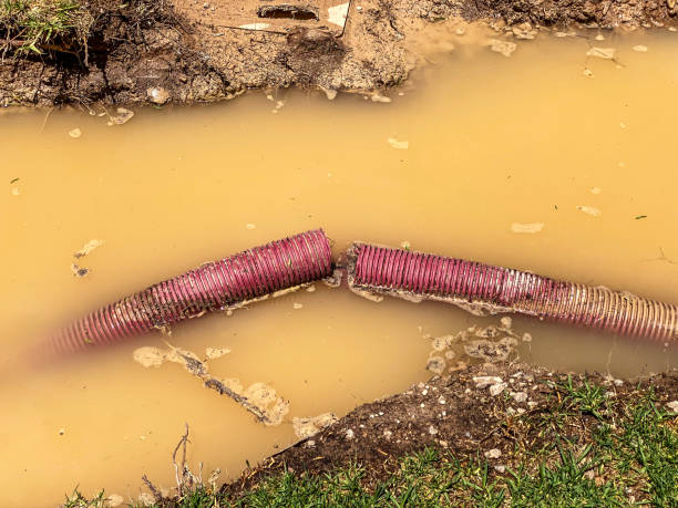 Best Flood restoration services  in New Madison, OH