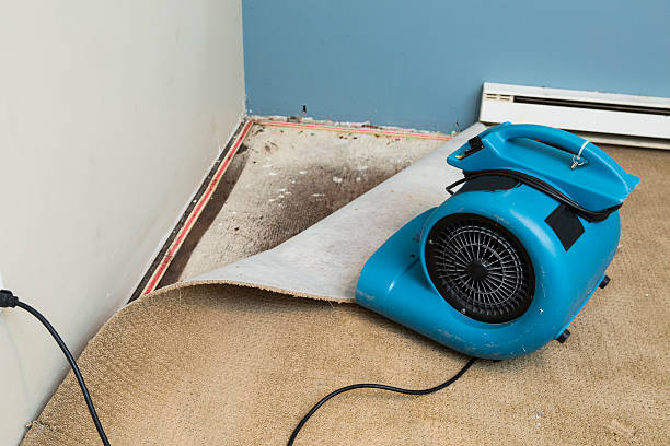 Water damage restoration experts in New Madison, OH
